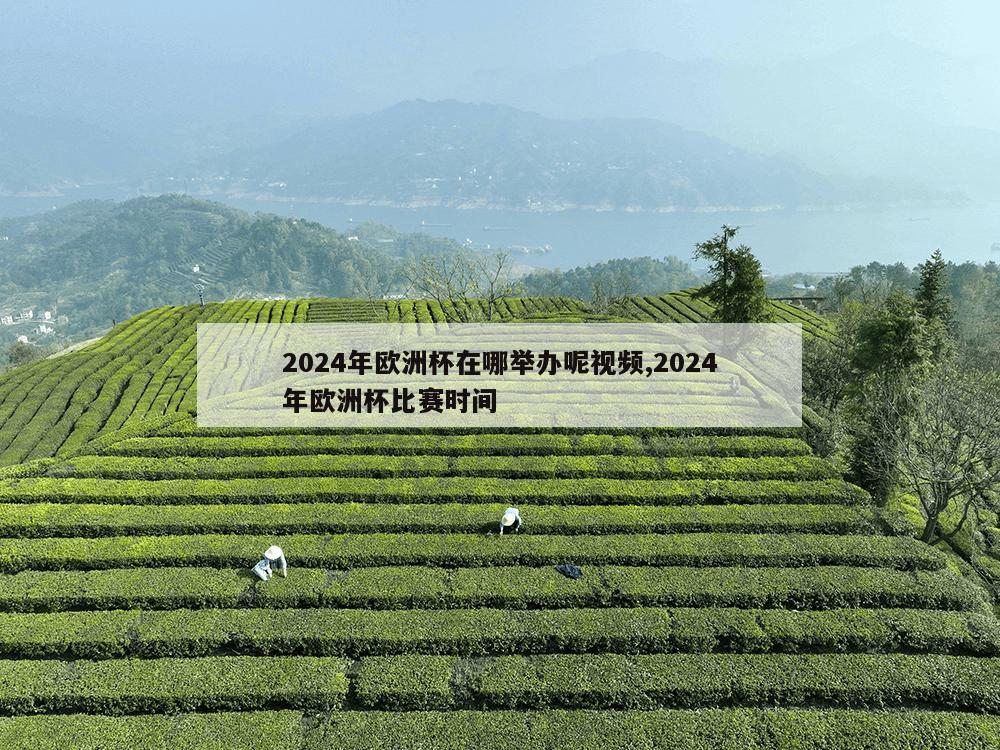 2024年欧洲杯在哪举办呢视频,2024年欧洲杯比赛时间