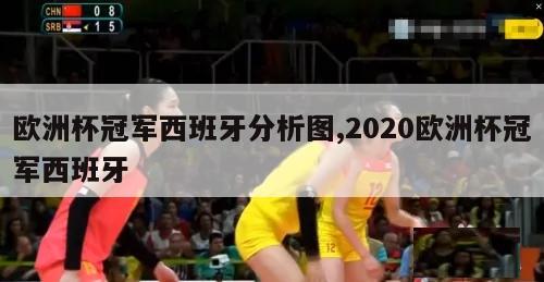 欧洲杯冠军西班牙分析图,2020欧洲杯冠军西班牙