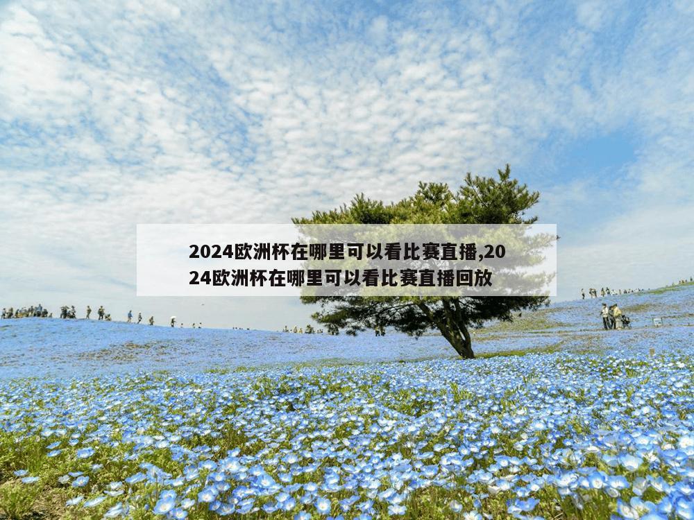 2024欧洲杯在哪里可以看比赛直播,2024欧洲杯在哪里可以看比赛直播回放