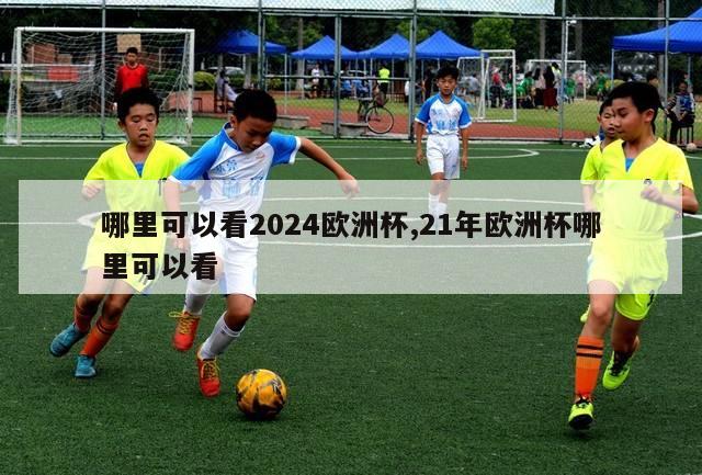 哪里可以看2024欧洲杯,21年欧洲杯哪里可以看