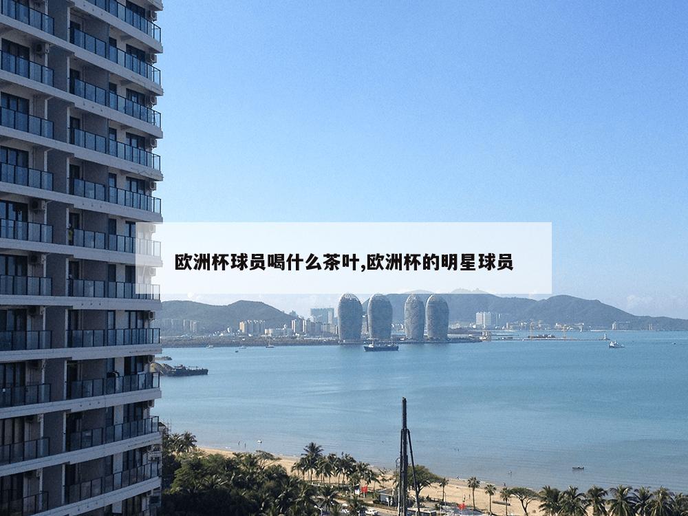 欧洲杯球员喝什么茶叶,欧洲杯的明星球员