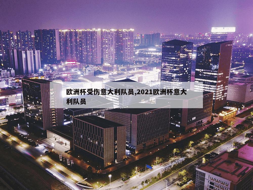 欧洲杯受伤意大利队员,2021欧洲杯意大利队员