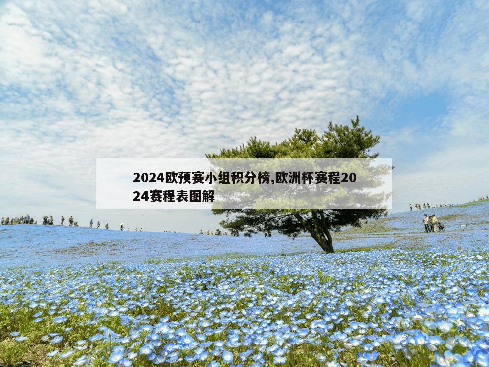 2024欧预赛小组积分榜,欧洲杯赛程2024赛程表图解