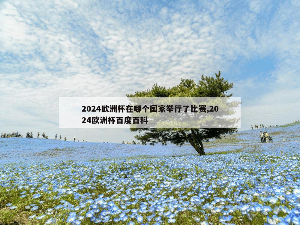 2024欧洲杯在哪个国家举行了比赛,2024欧洲杯百度百科