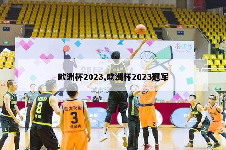 欧洲杯2023,欧洲杯2023冠军