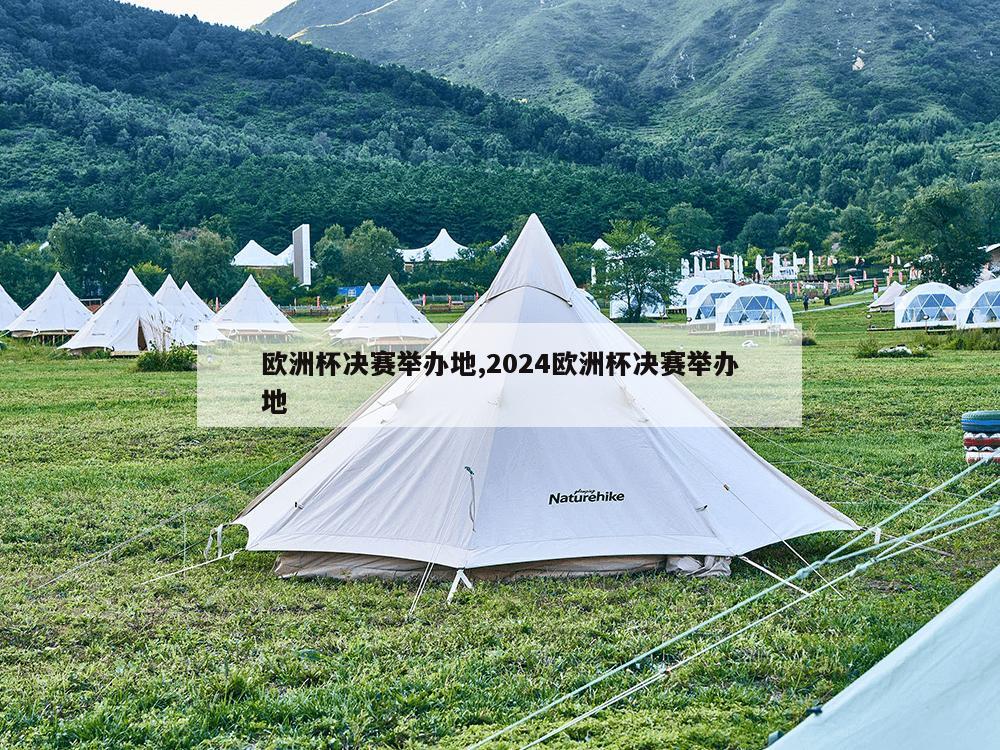 欧洲杯决赛举办地,2024欧洲杯决赛举办地